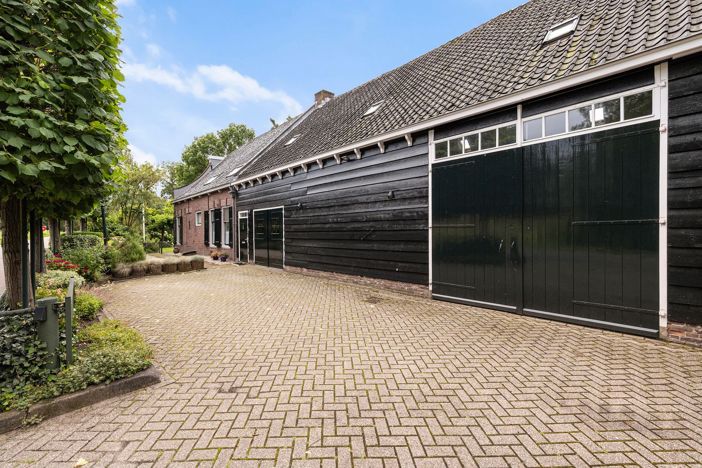 Foto 4 van Wieldijk 5