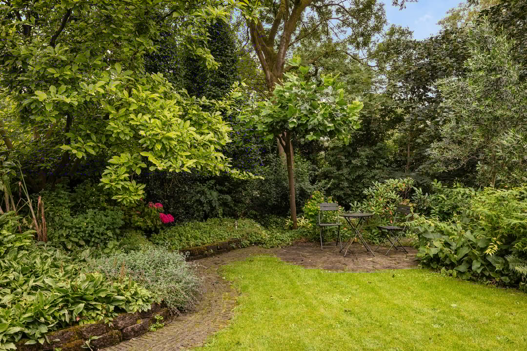 Foto 52 van Wieldijk 5