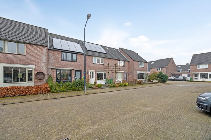 Photo 7 of Meidoorn 23