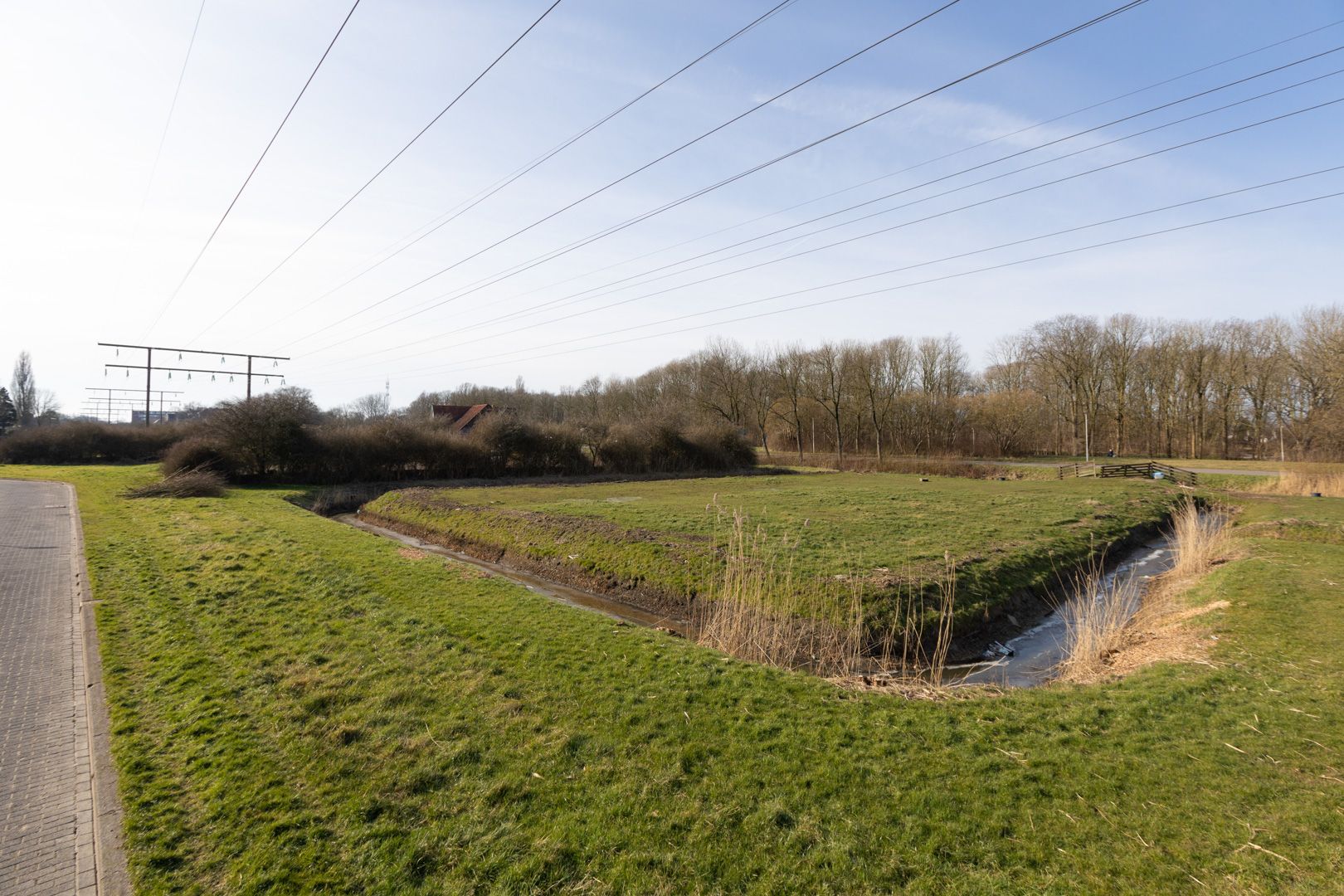 Foto 45 van it Bûtlân 81