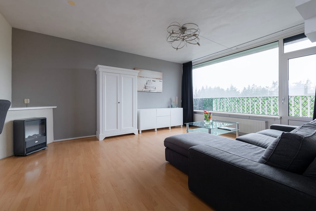 Foto 2 van Anna Paulownalaan 133