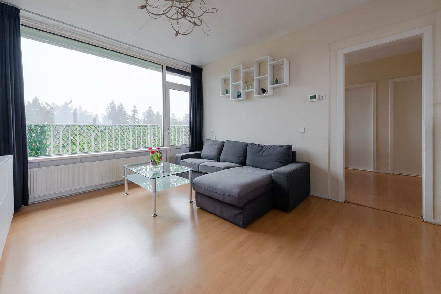 Foto 4 van Anna Paulownalaan 133