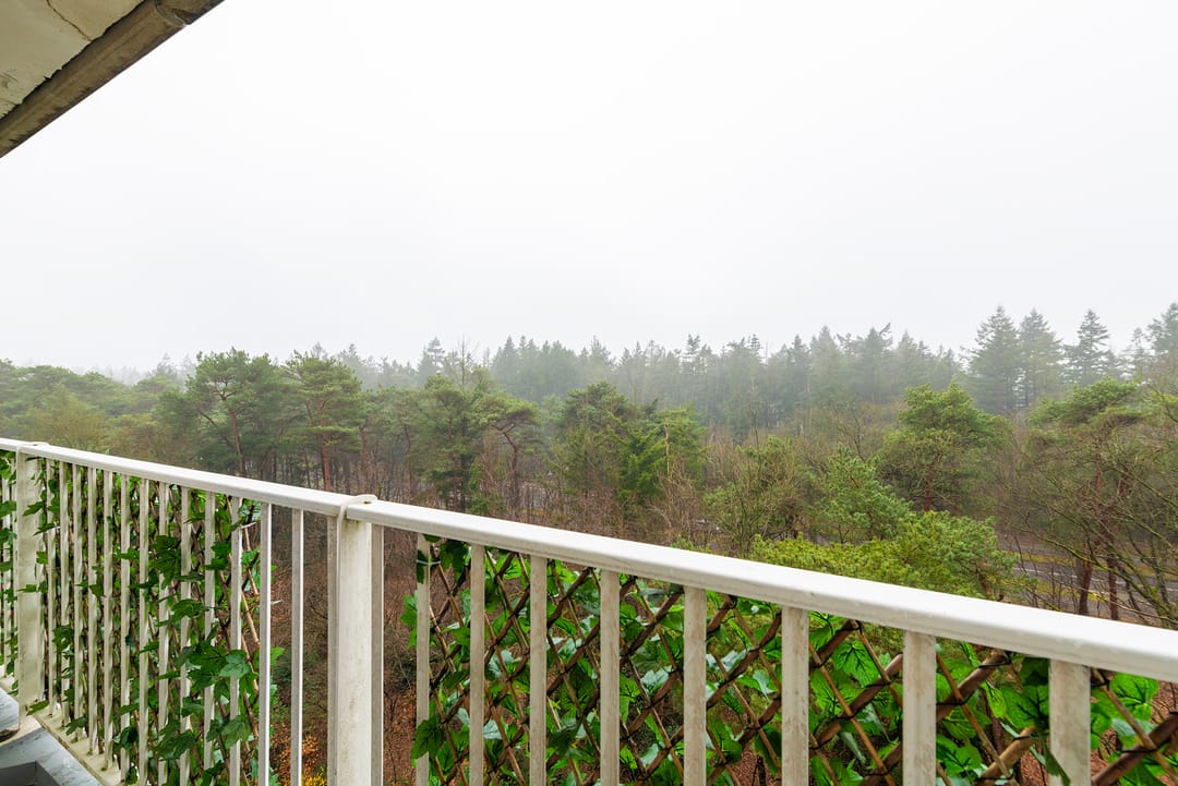 Foto 13 van Anna Paulownalaan 133