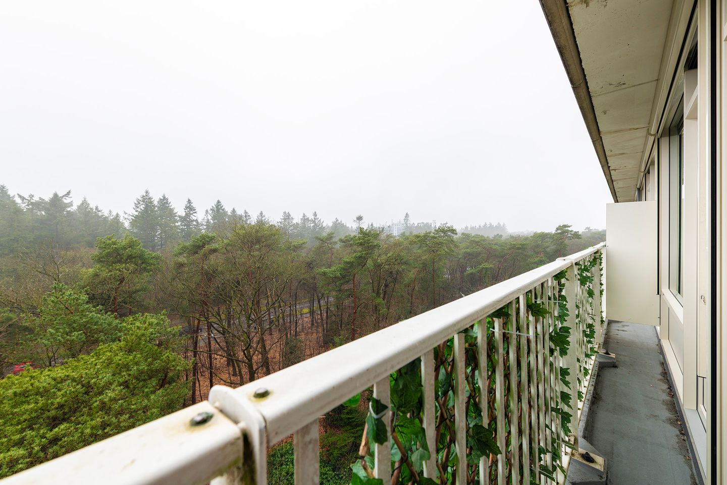 Foto 14 van Anna Paulownalaan 133