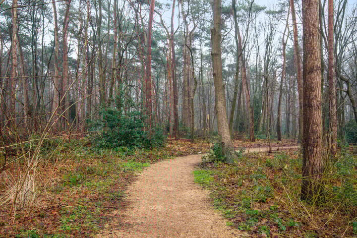 Foto 31 van Sporenring 164-05