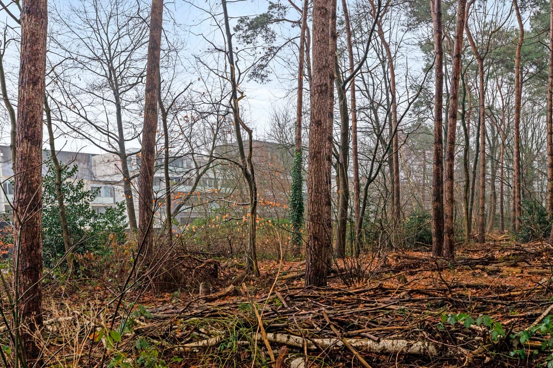 Foto 32 van Sporenring 164-05