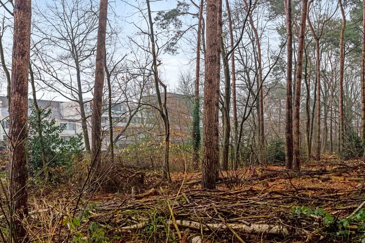 Foto 32 van Sporenring 164-05