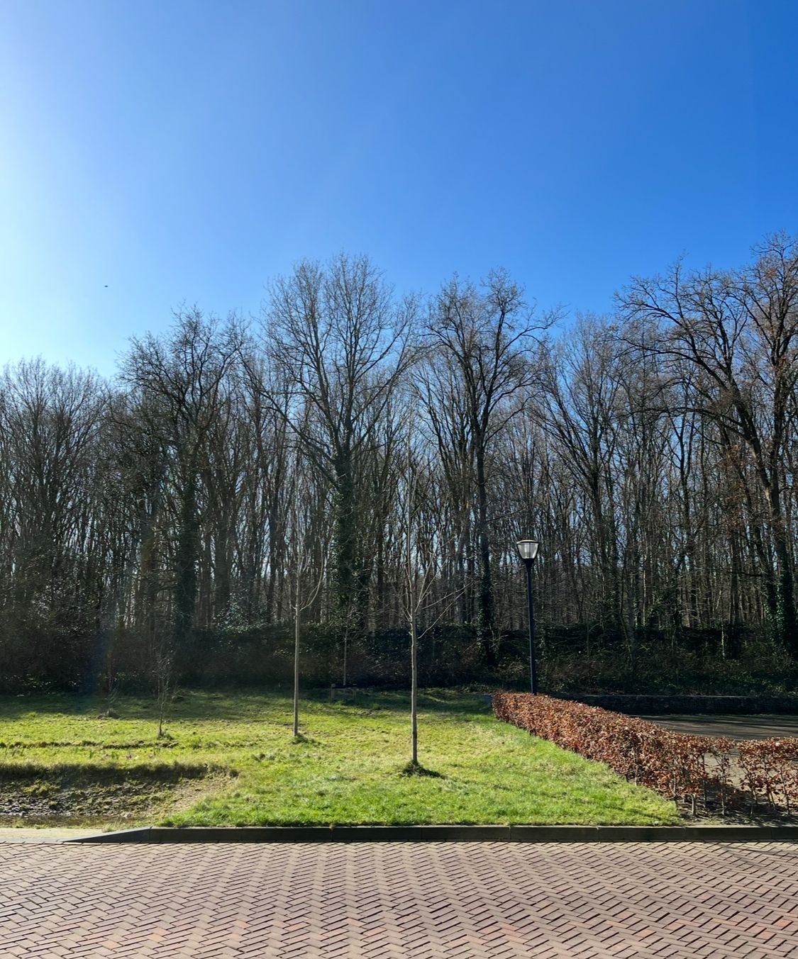 Foto 19 van Sporenring 164-05