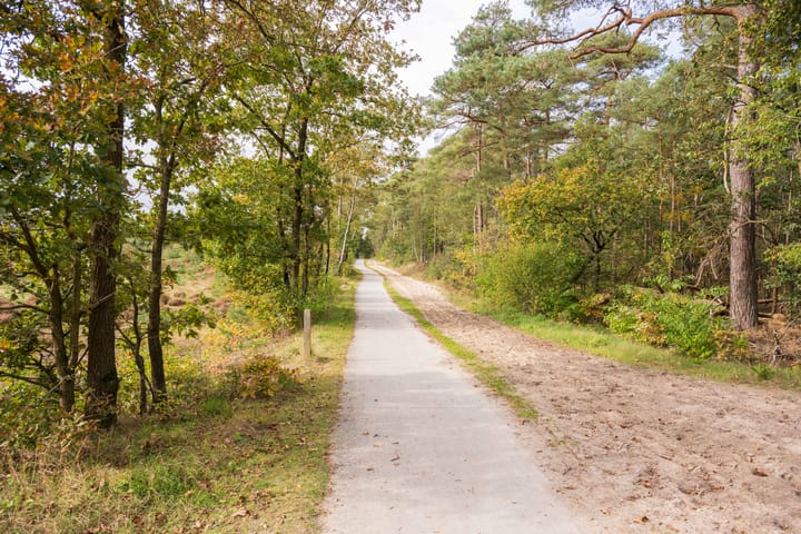 Photo 31 of Kloosterheerd 3