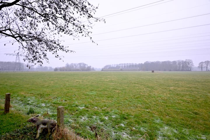 Foto 43 van Hoornikgaarde 29