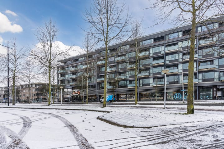 Foto 5 van Willemskade 29-204