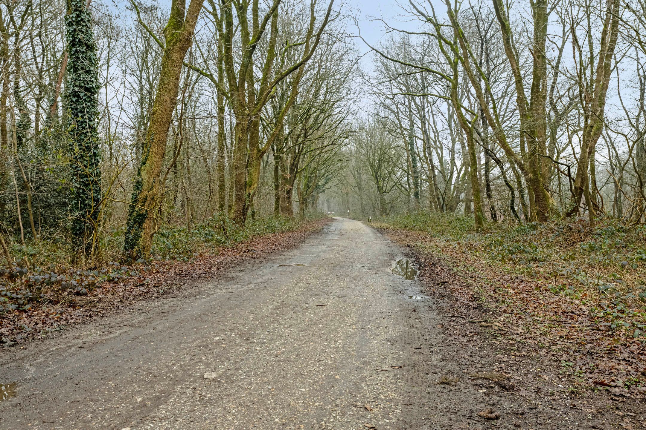 Foto 39 van Kollermolen 24