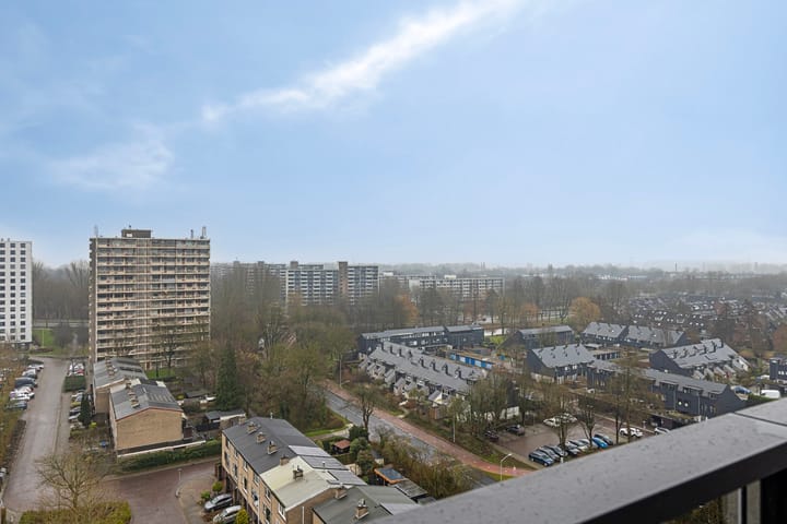 Foto 31 van Octant 215