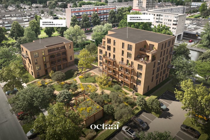 Octaaf main image