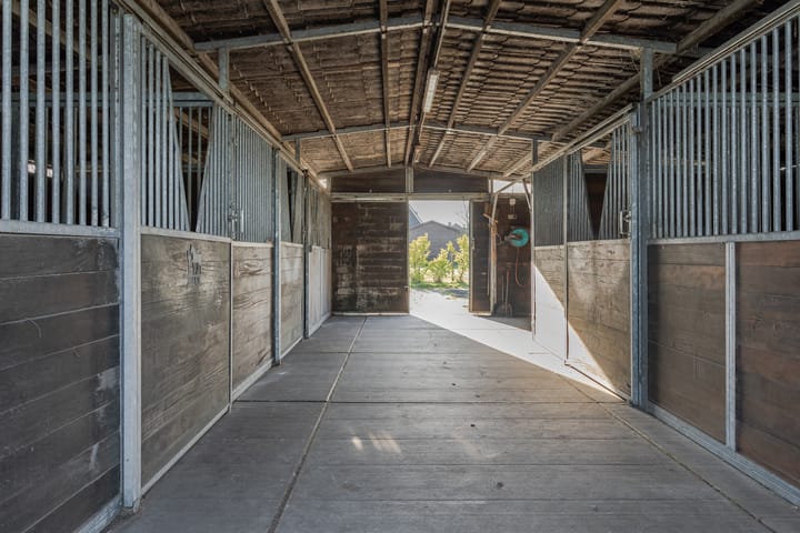 Photo 22 of Wijzend 32