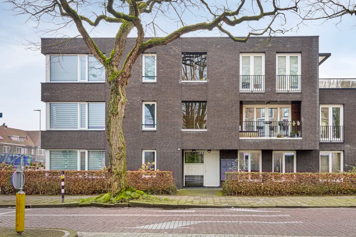 Bekijk foto van Pieter Zeemanstraat 1 03