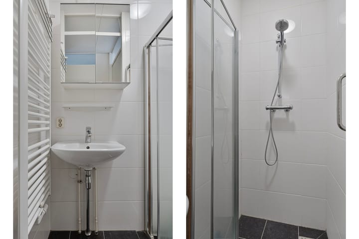 Foto 11 van Pieter Zeemanstraat 1-03