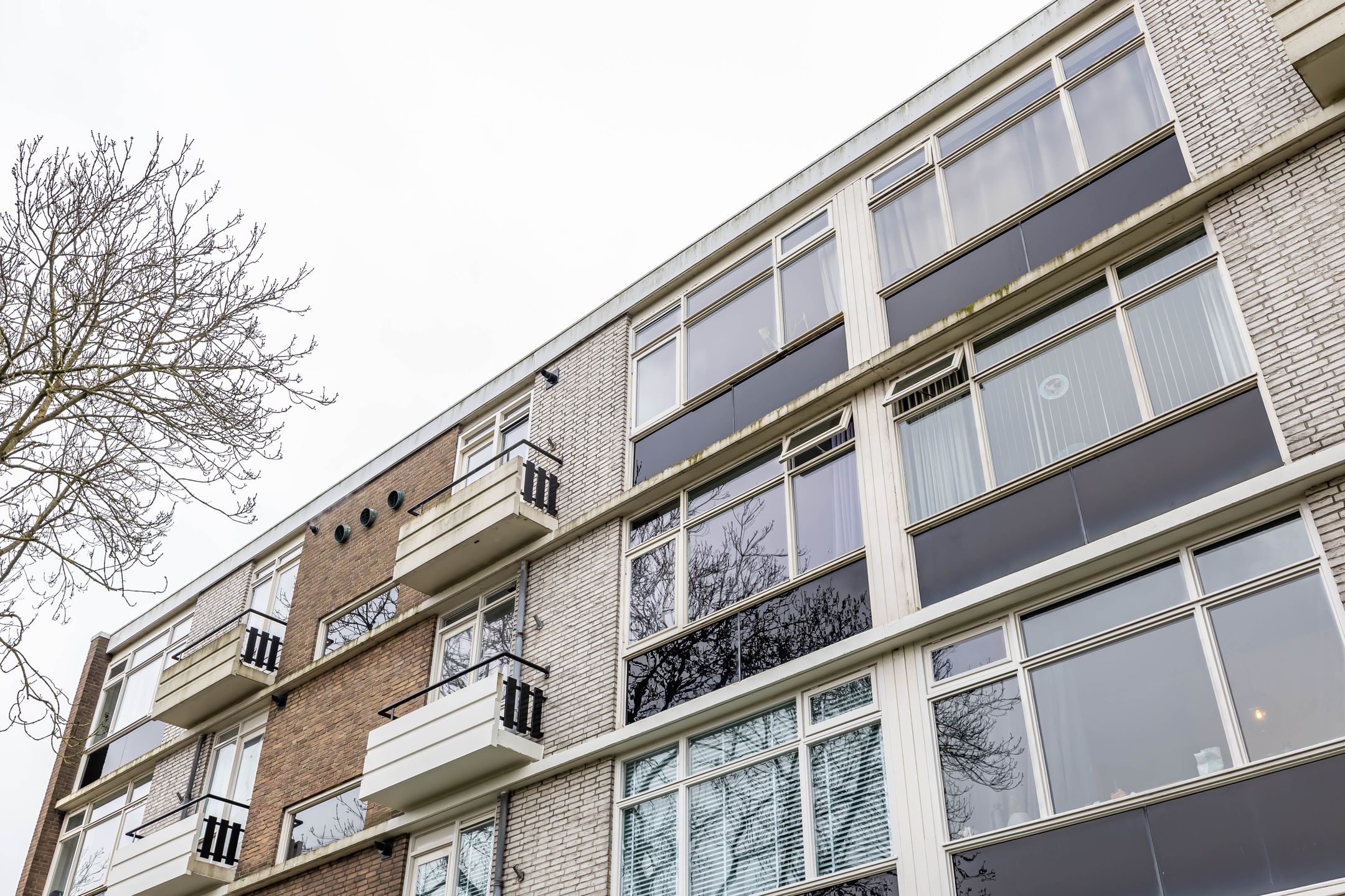 Foto 6 van Laan van de Vrede 22