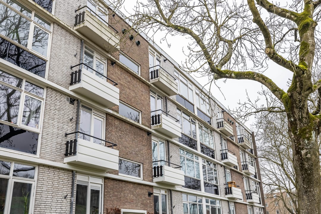 Foto 7 van Laan van de Vrede 22