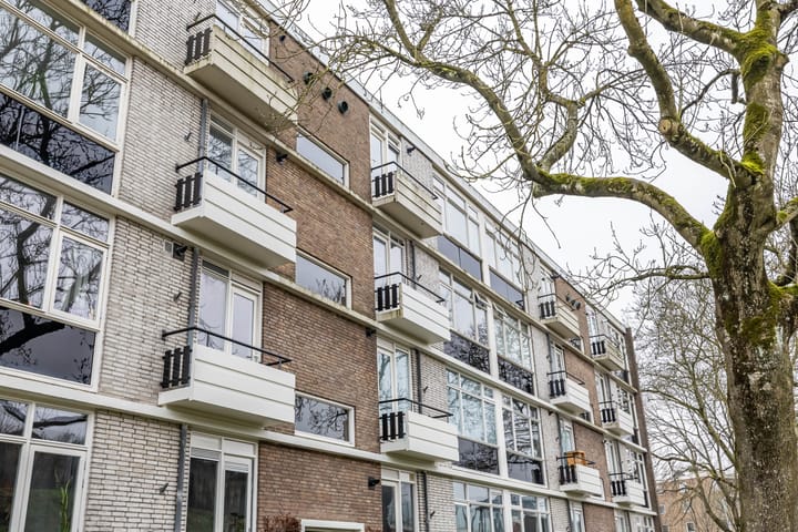 Foto 7 van Laan van de Vrede 22