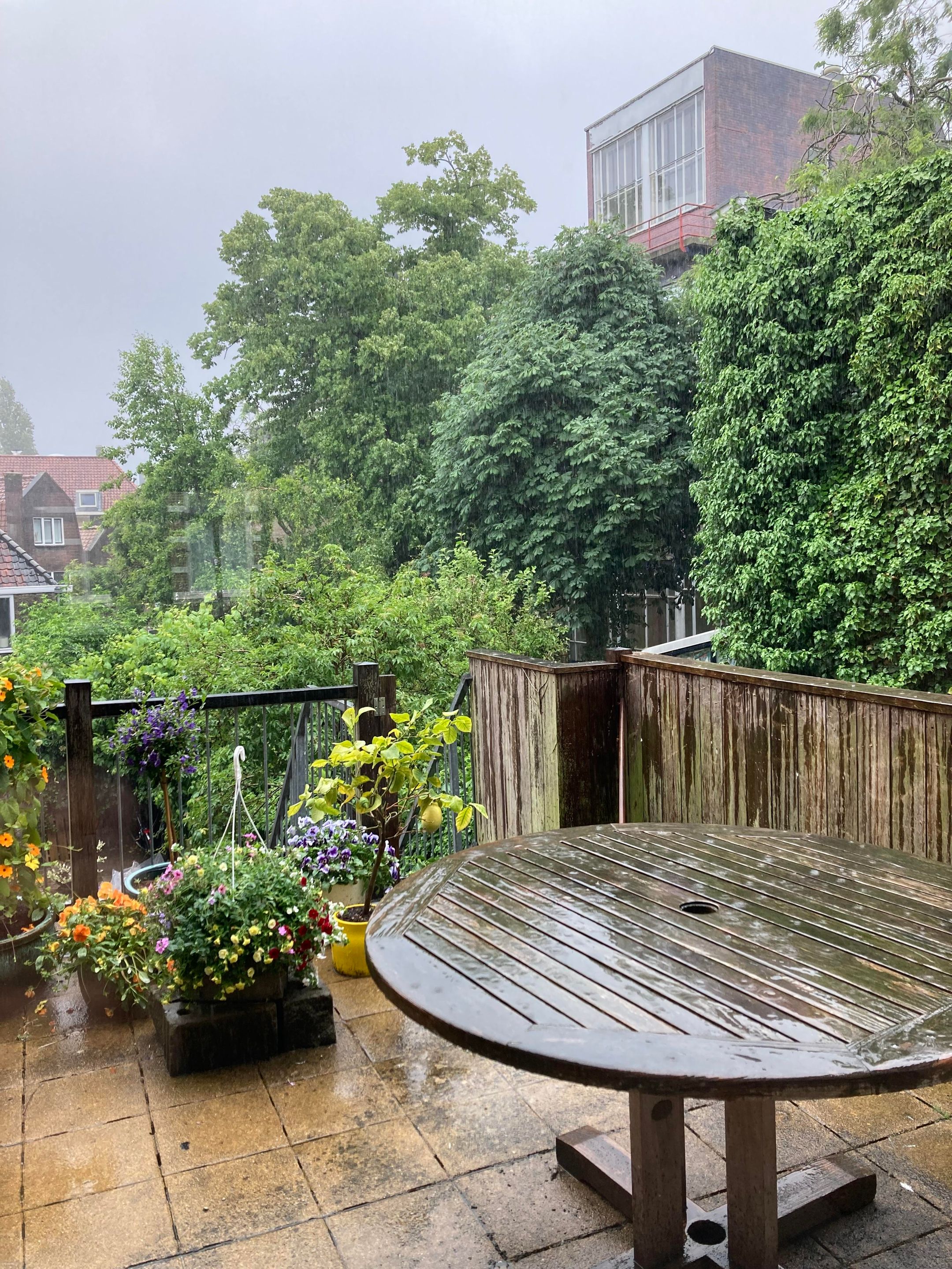 Foto 24 van Prinsenstraat 34