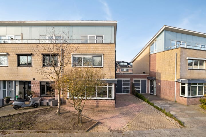 Foto 2 van Hertshoornvaren 10