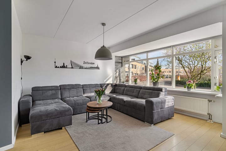 Foto 5 van Hertshoornvaren 10