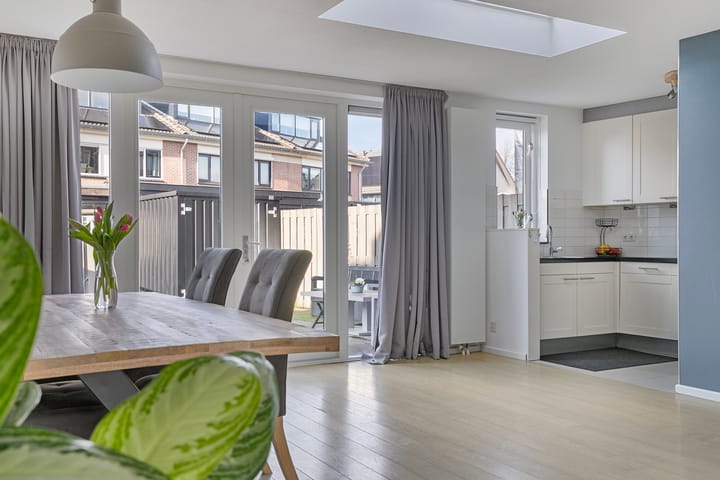 Foto 11 van Hertshoornvaren 10