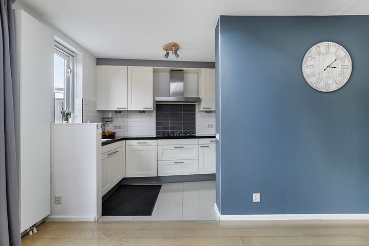 Foto 12 van Hertshoornvaren 10