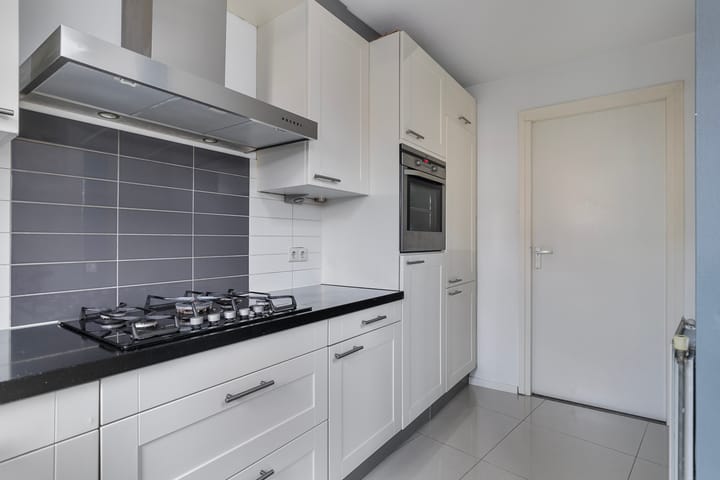 Foto 14 van Hertshoornvaren 10