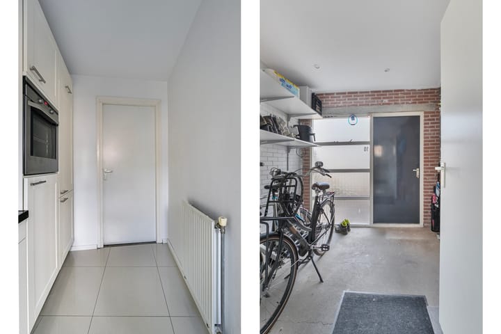 Foto 15 van Hertshoornvaren 10