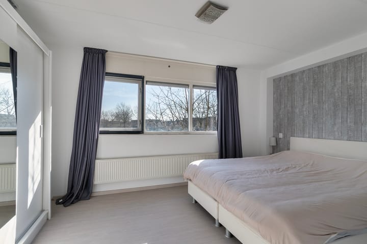 Foto 17 van Hertshoornvaren 10