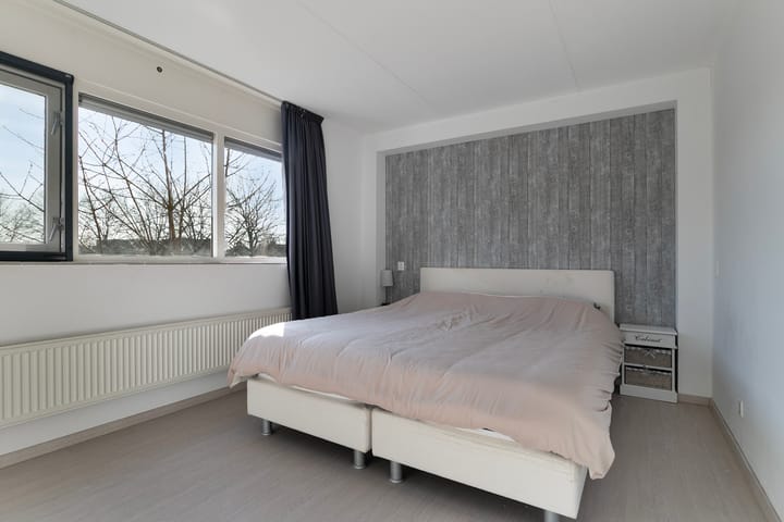 Foto 18 van Hertshoornvaren 10