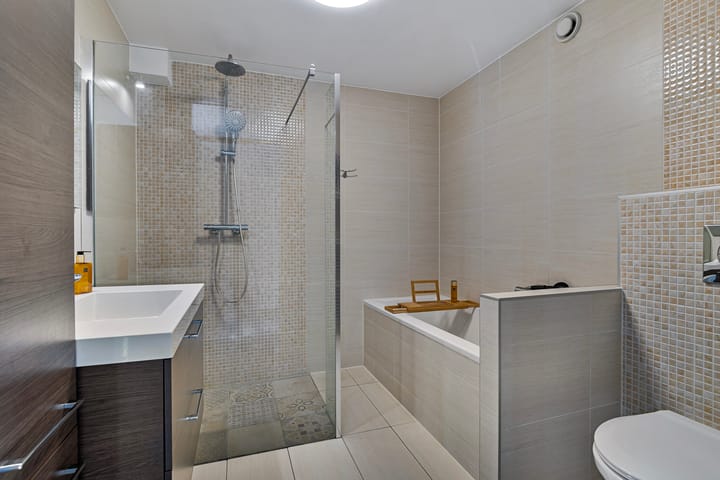 Foto 20 van Hertshoornvaren 10