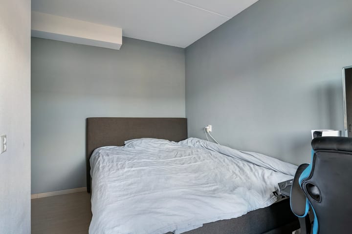 Foto 24 van Hertshoornvaren 10