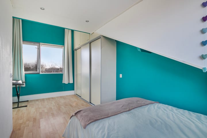 Foto 27 van Hertshoornvaren 10