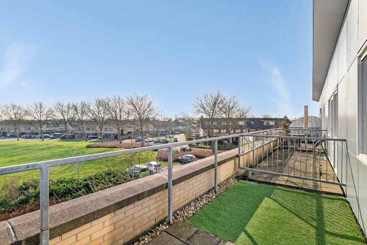 Foto 28 van Hertshoornvaren 10