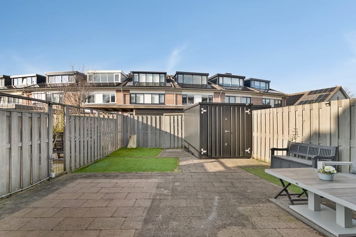 Foto 31 van Hertshoornvaren 10