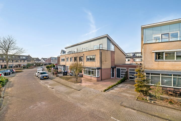 Foto 32 van Hertshoornvaren 10