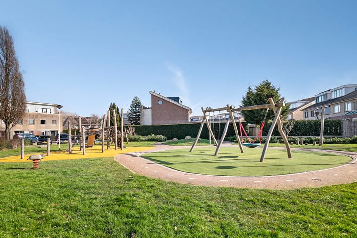 Foto 33 van Hertshoornvaren 10