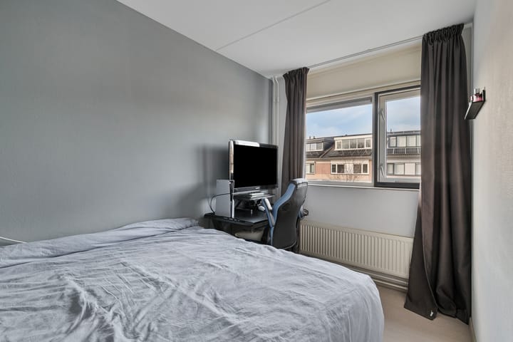 Foto 23 van Hertshoornvaren 10