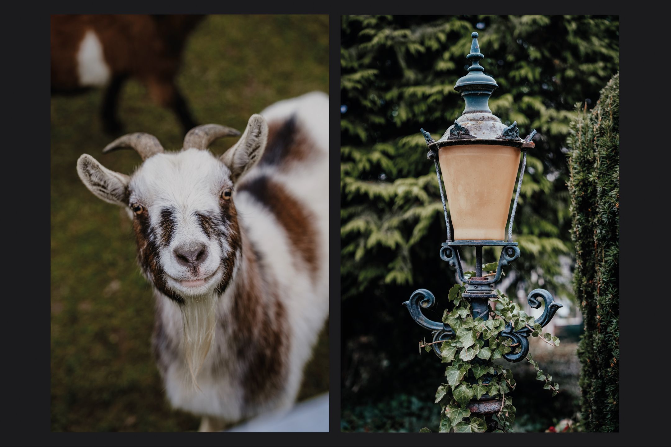 Foto 30 van Rijdt 17