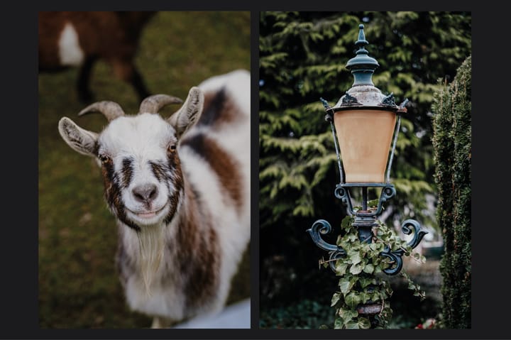 Foto 30 van Rijdt 17