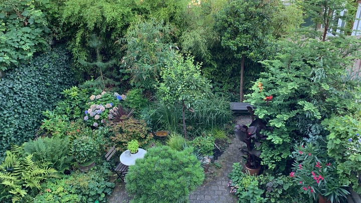 Foto 31 van Vondellaan 5