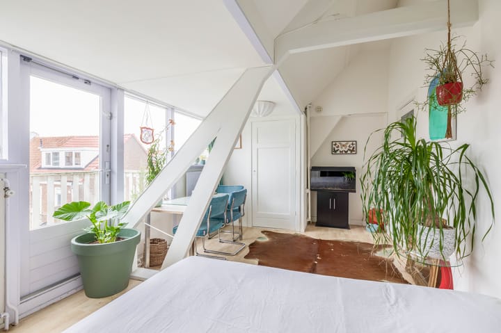 Foto 43 van Vondellaan 5