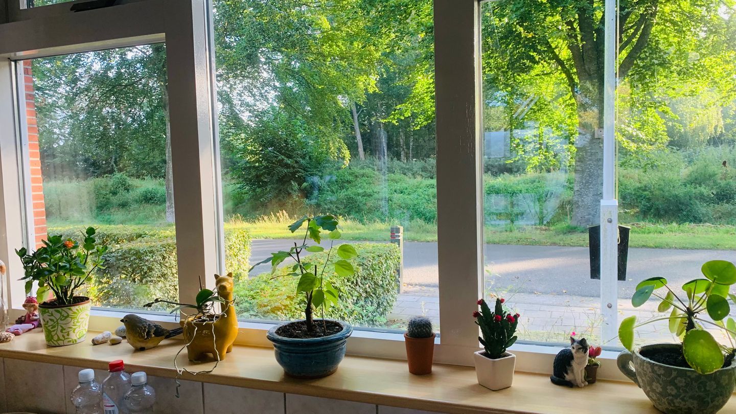 Foto 65 van Spoorsingel 10