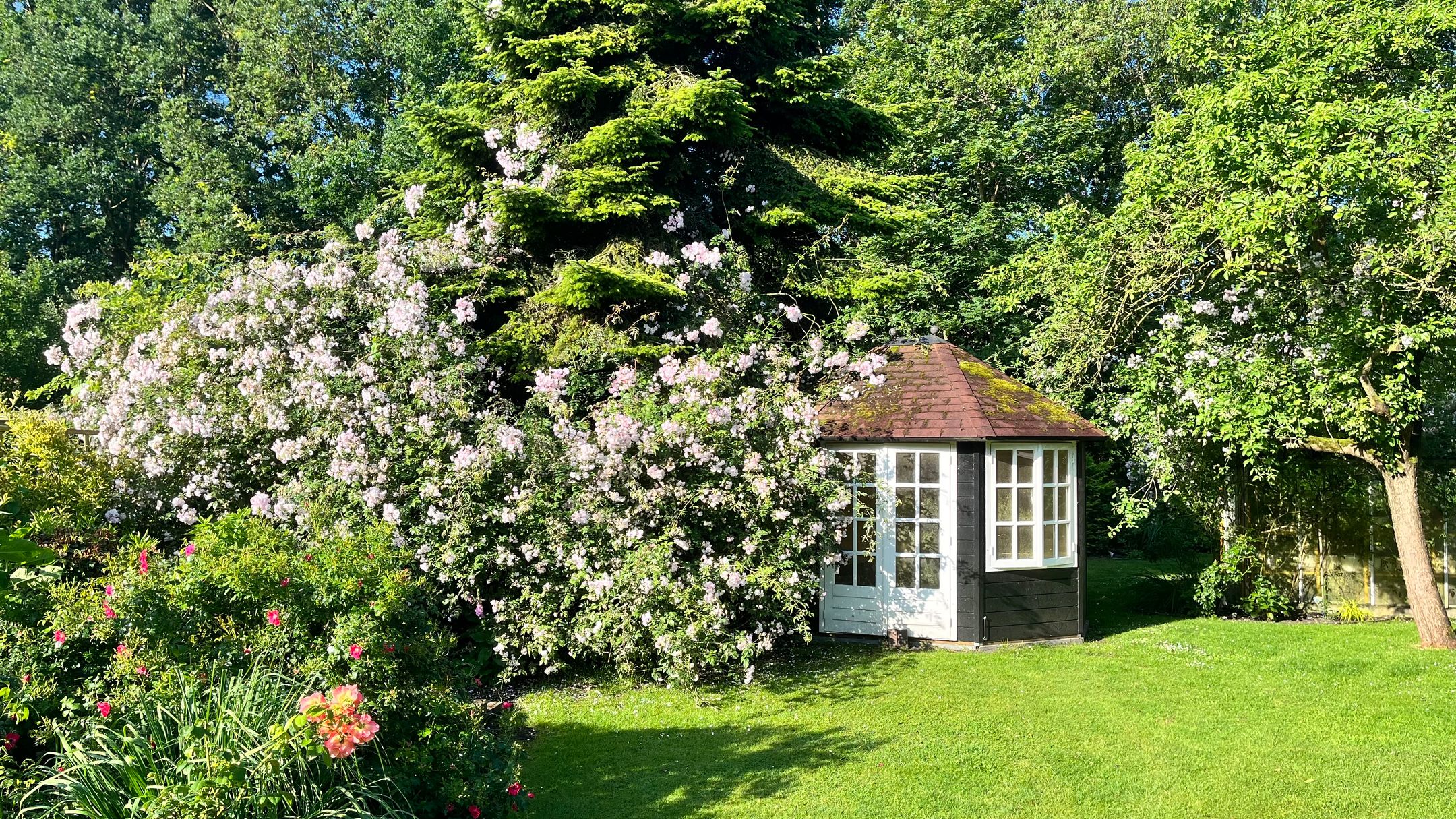 Foto 72 van Spoorsingel 10