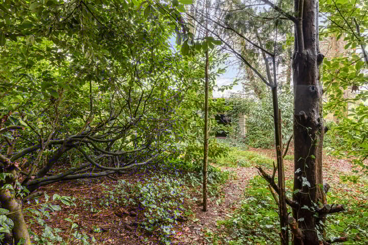 Foto 48 van Barchemseweg 51