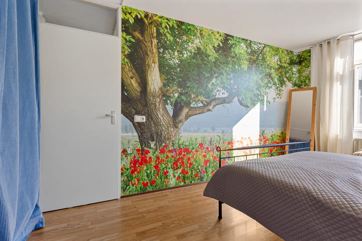 Foto 18 van Schepen Leijdeckerstraat 15