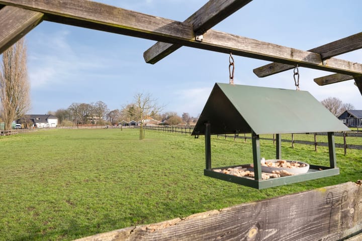 Foto 2 van Schoolstraat 20